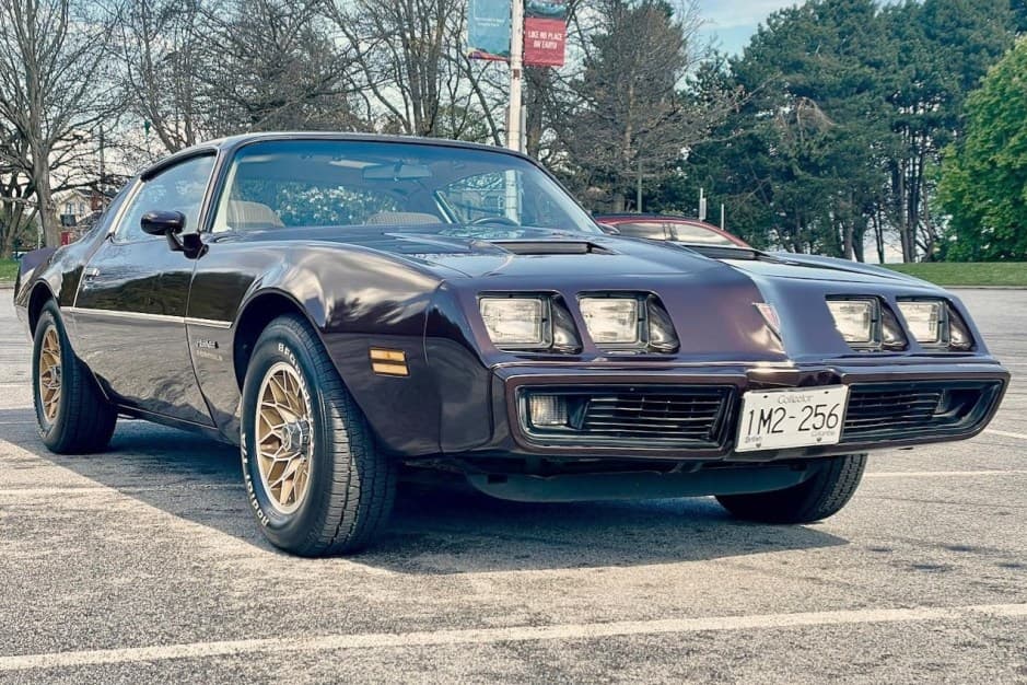 1981 Pontiac Firebird (1970-1981) sold for $21,250