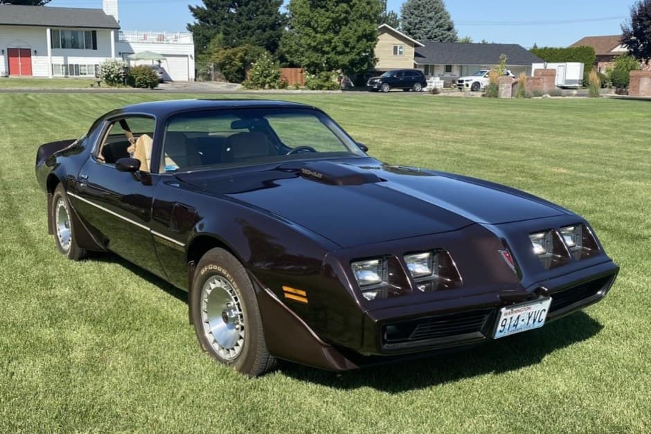 1981 Pontiac Firebird (1970-1981) sold for $23,250