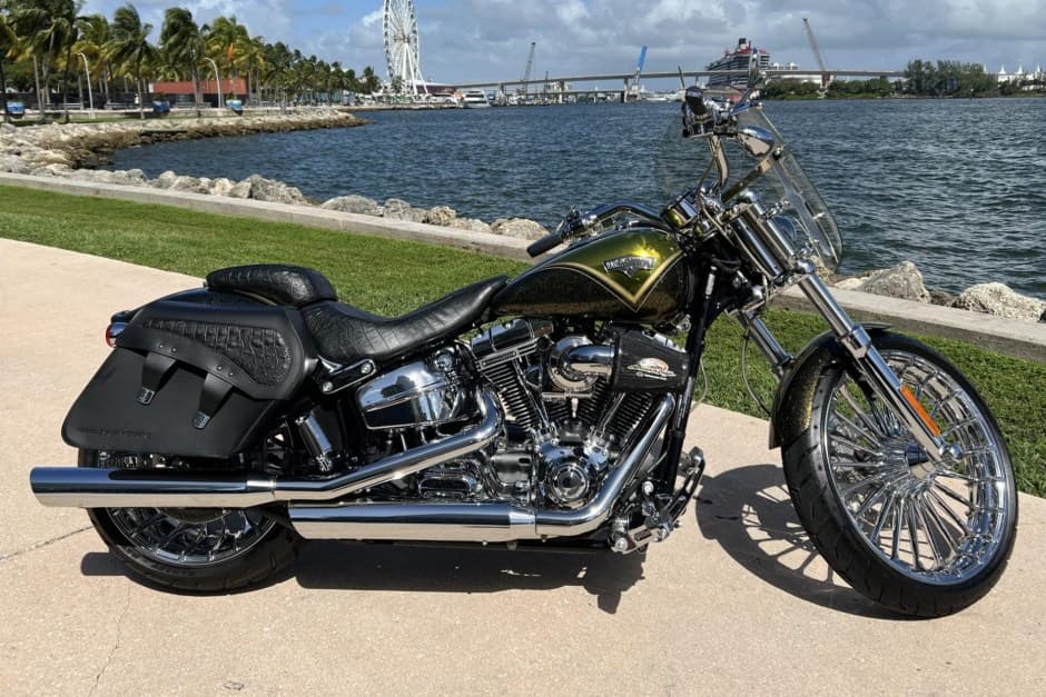 2013 Harley-Davidson Softail sold for $19,300
