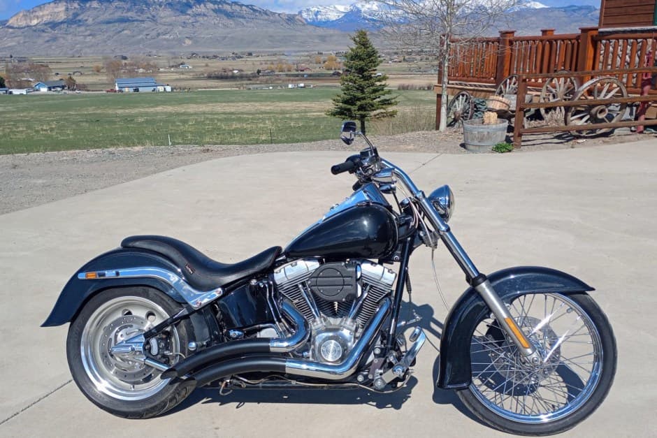 2006 Harley-Davidson Softail sold for $3,900