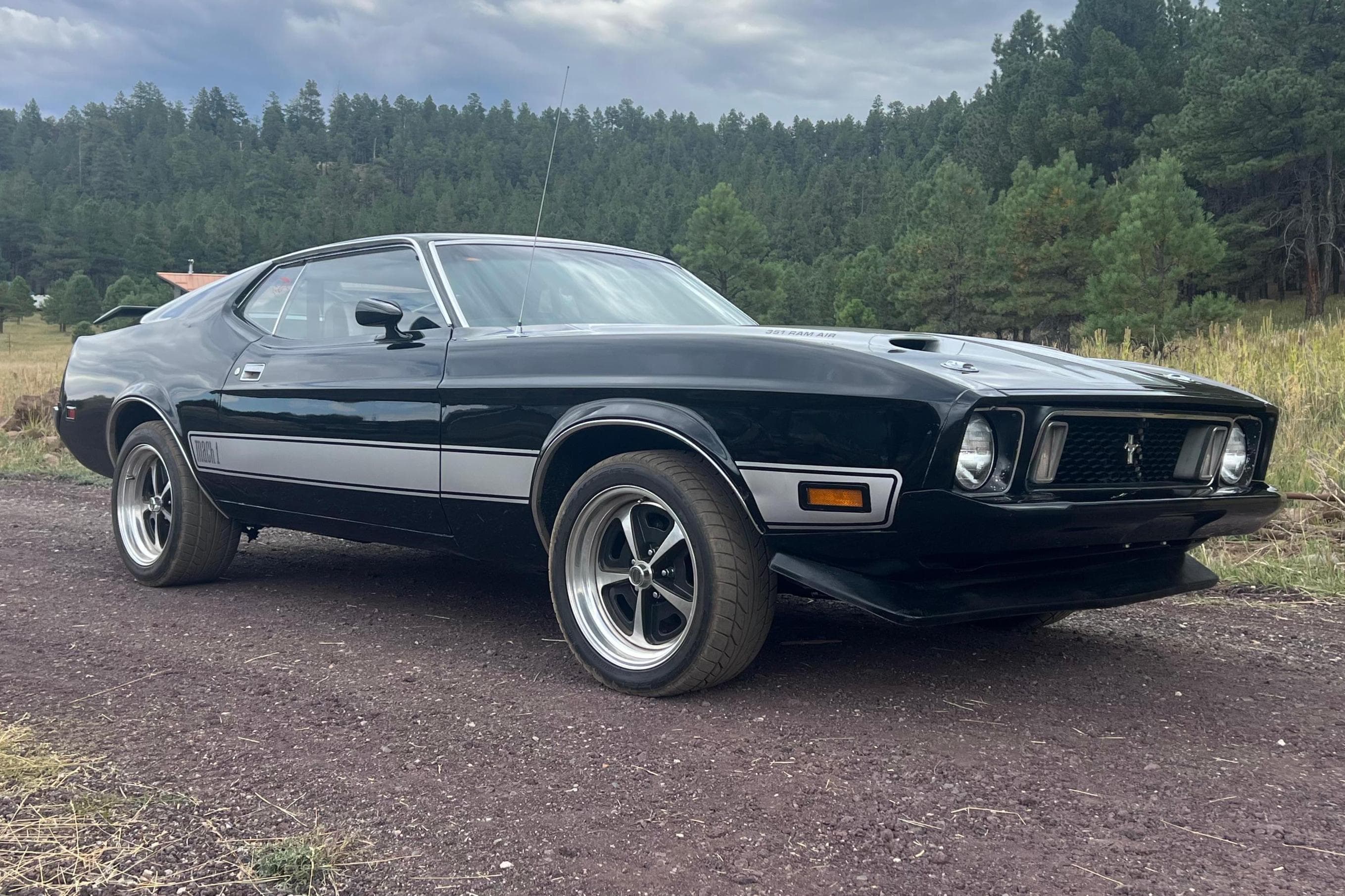 1973 Ford Mustang sold for $27,250