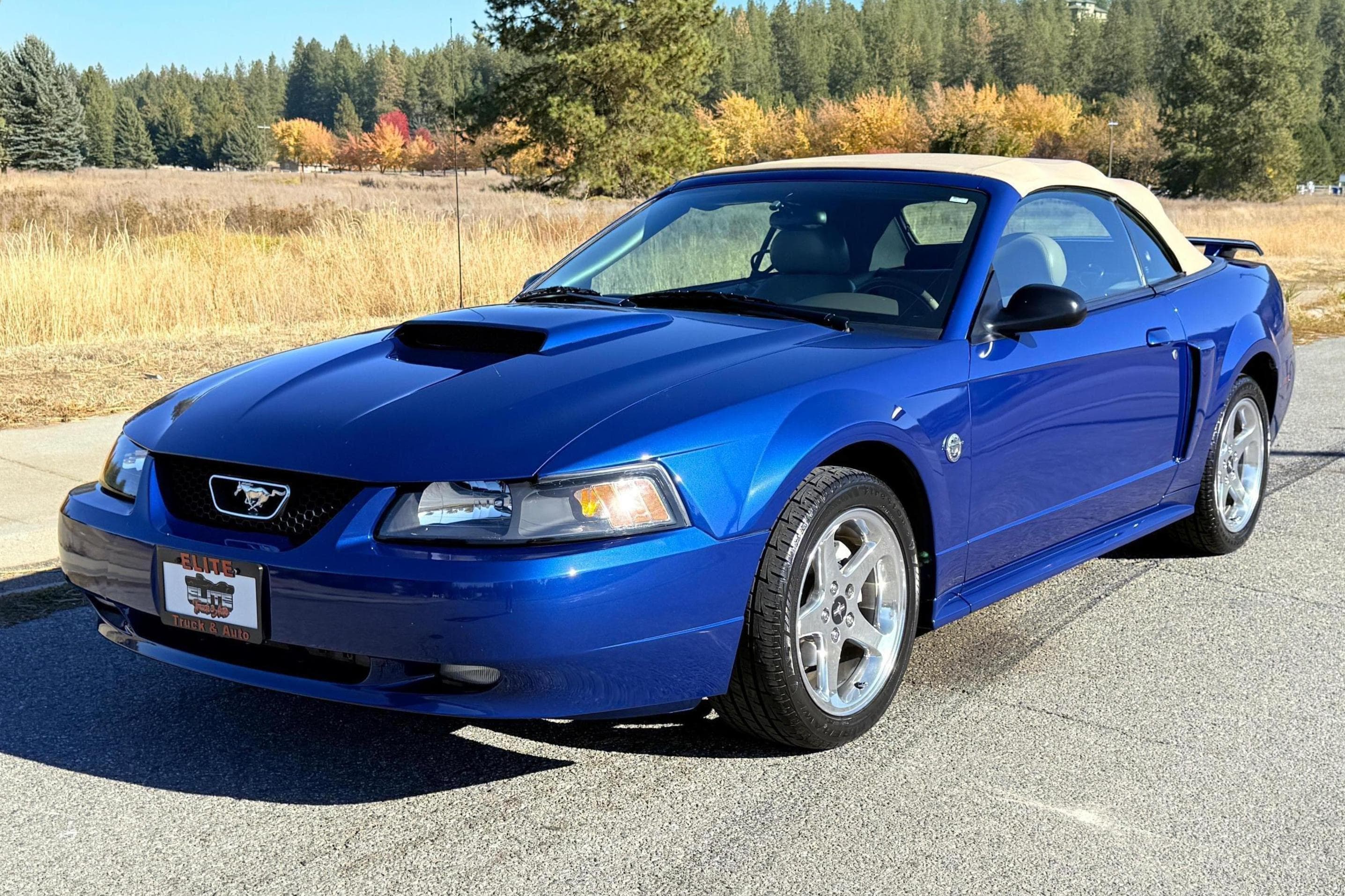 2004 Ford Mustang sold for $8,100