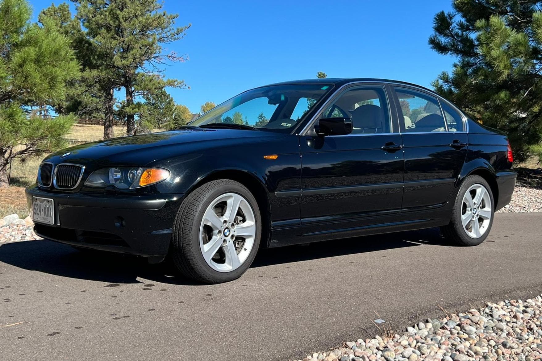 2004 BMW 3 Series sold for $10,600
