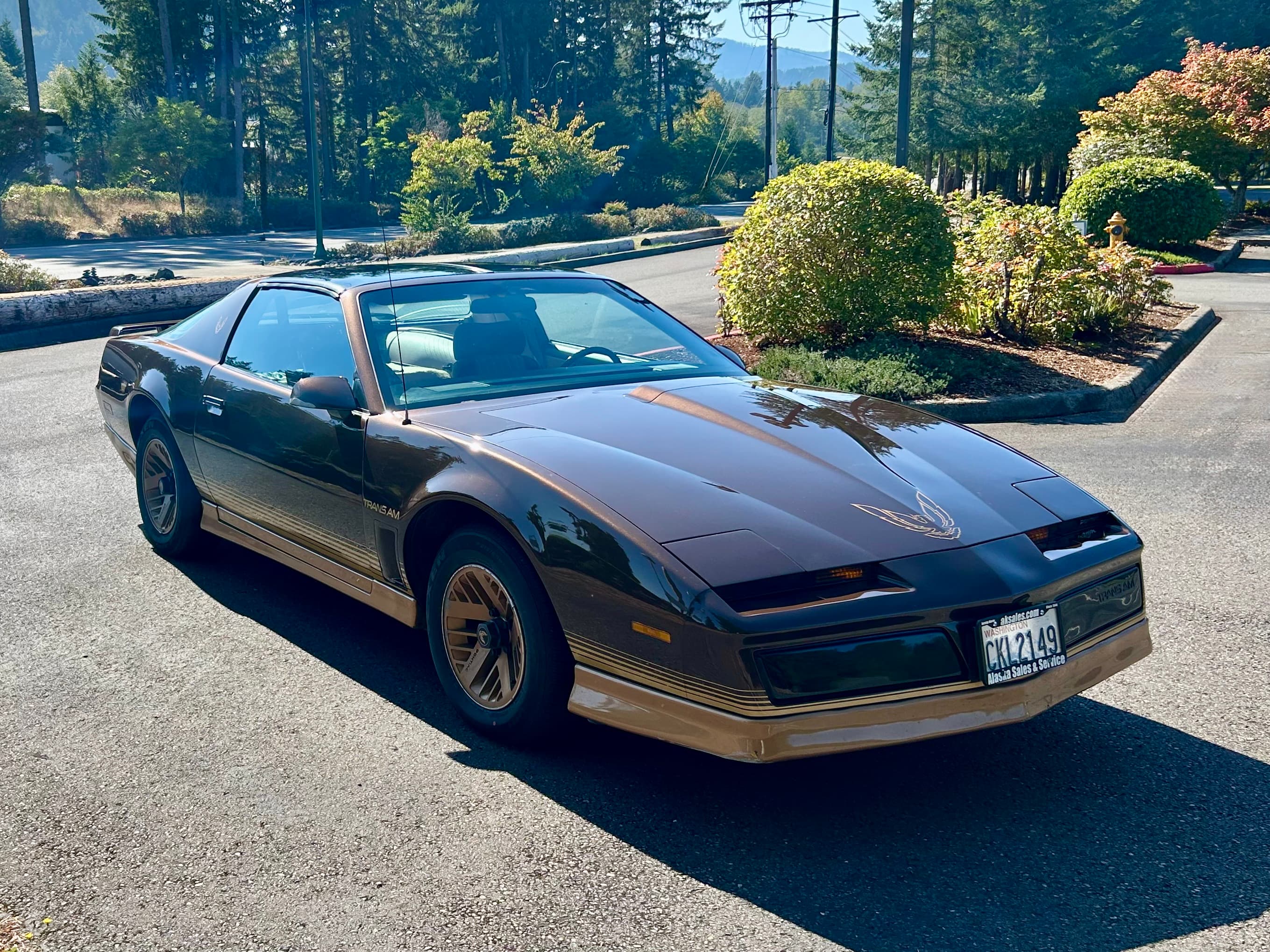 1984 Pontiac Firebird sold for $8,000