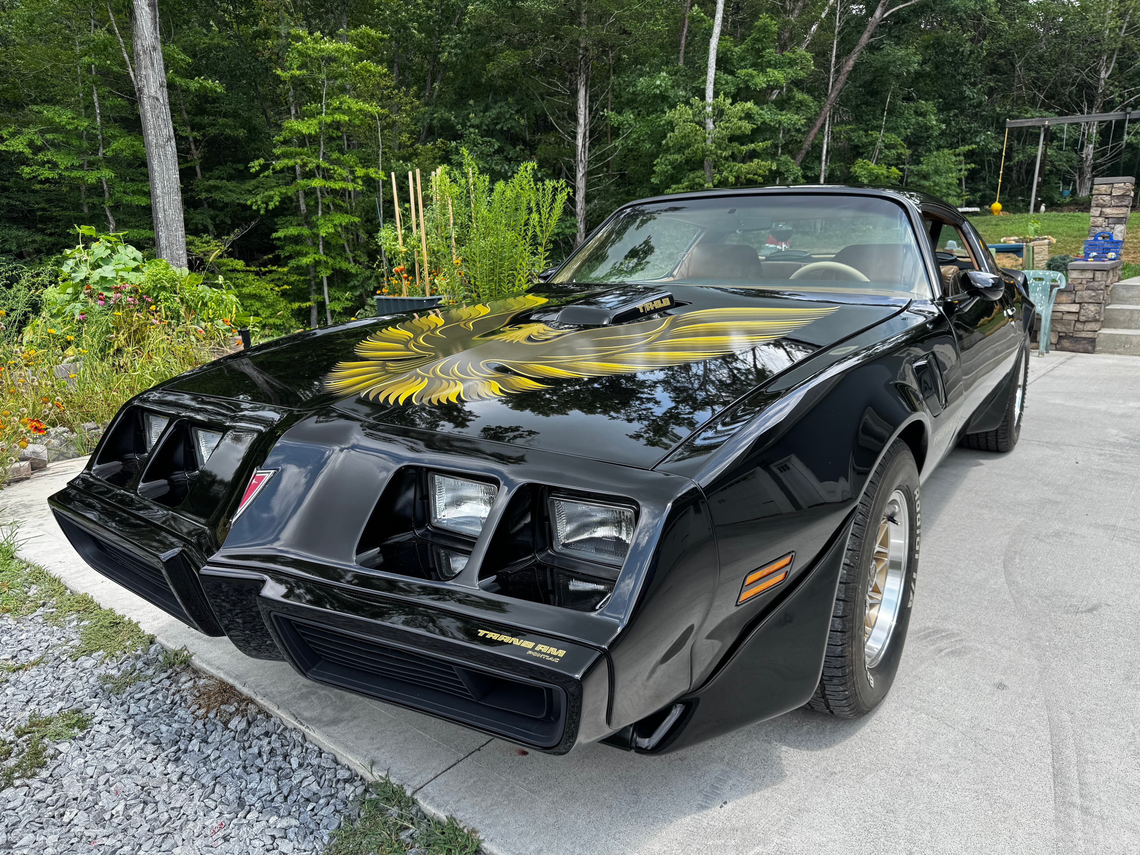 1979 Pontiac Firebird sold for $25,250
