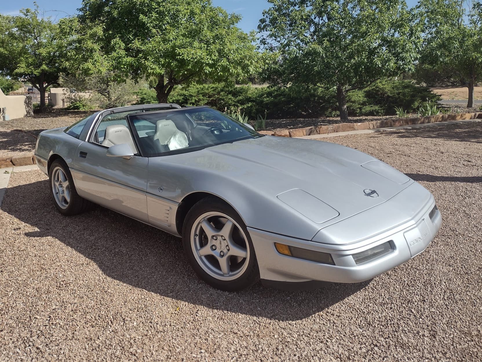 1996 Chevrolet Corvette sold for $10,000