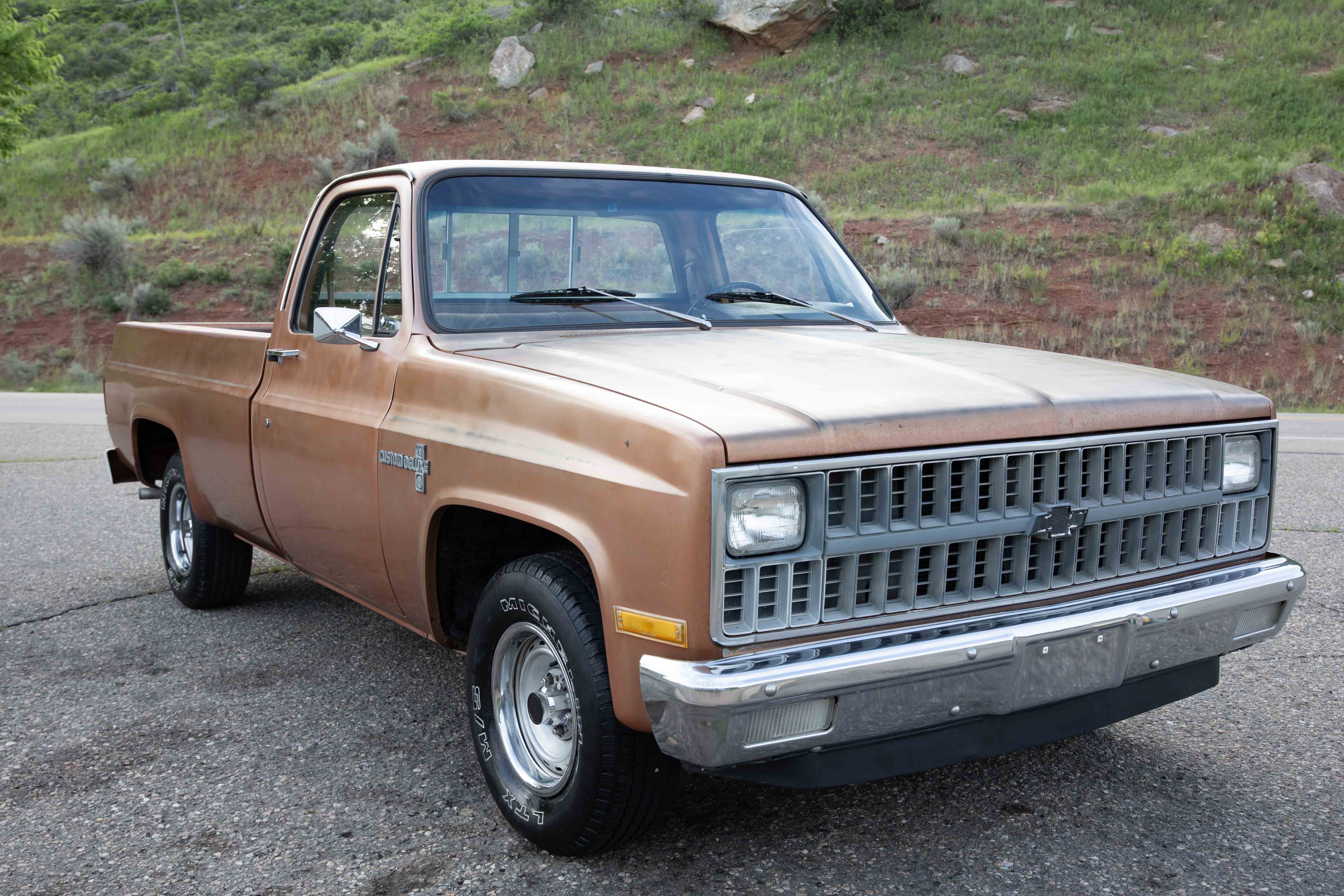 1981 Chevrolet C10 sold for $0