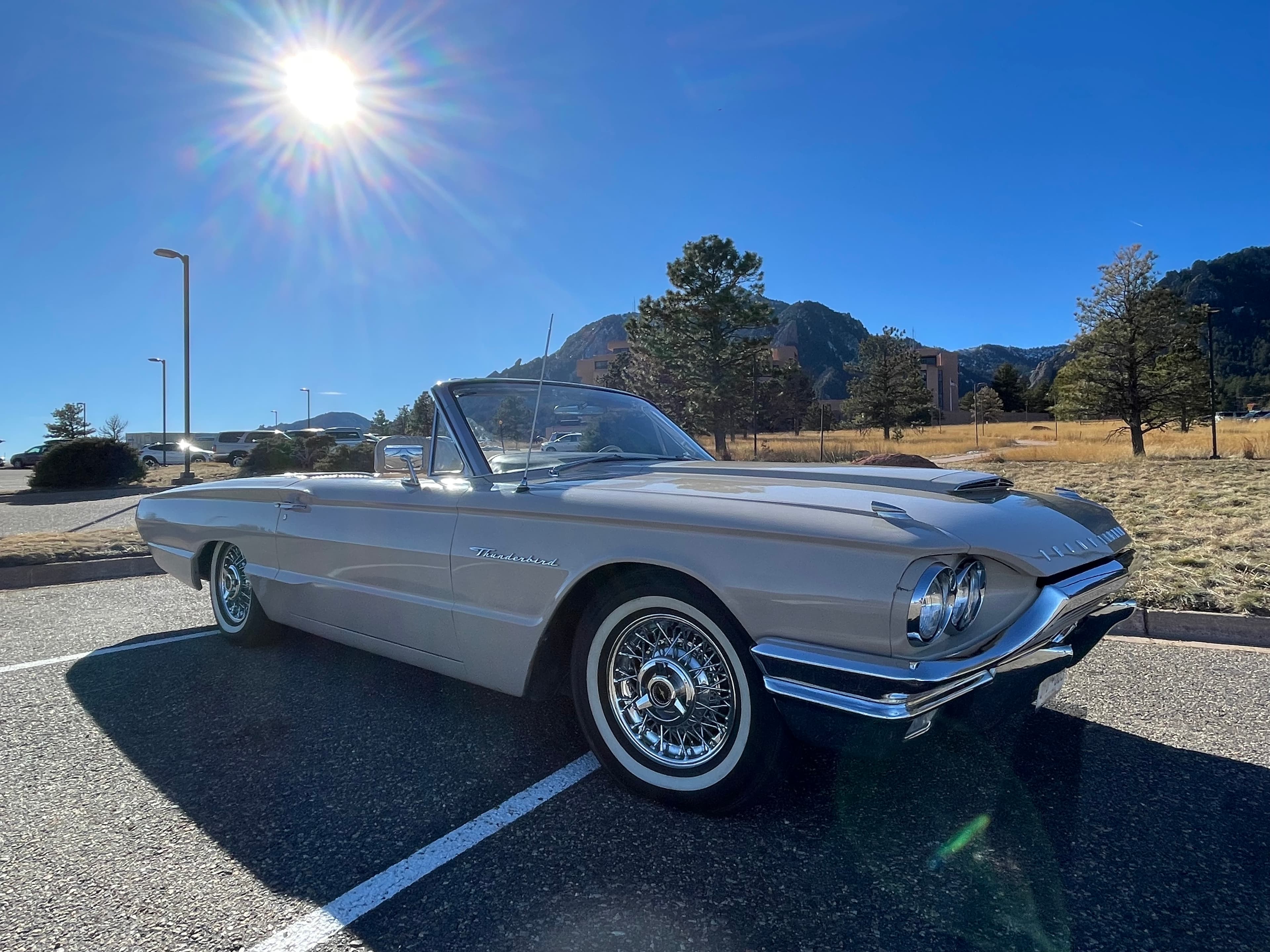 1964 Ford Thunderbird sold for $16,919