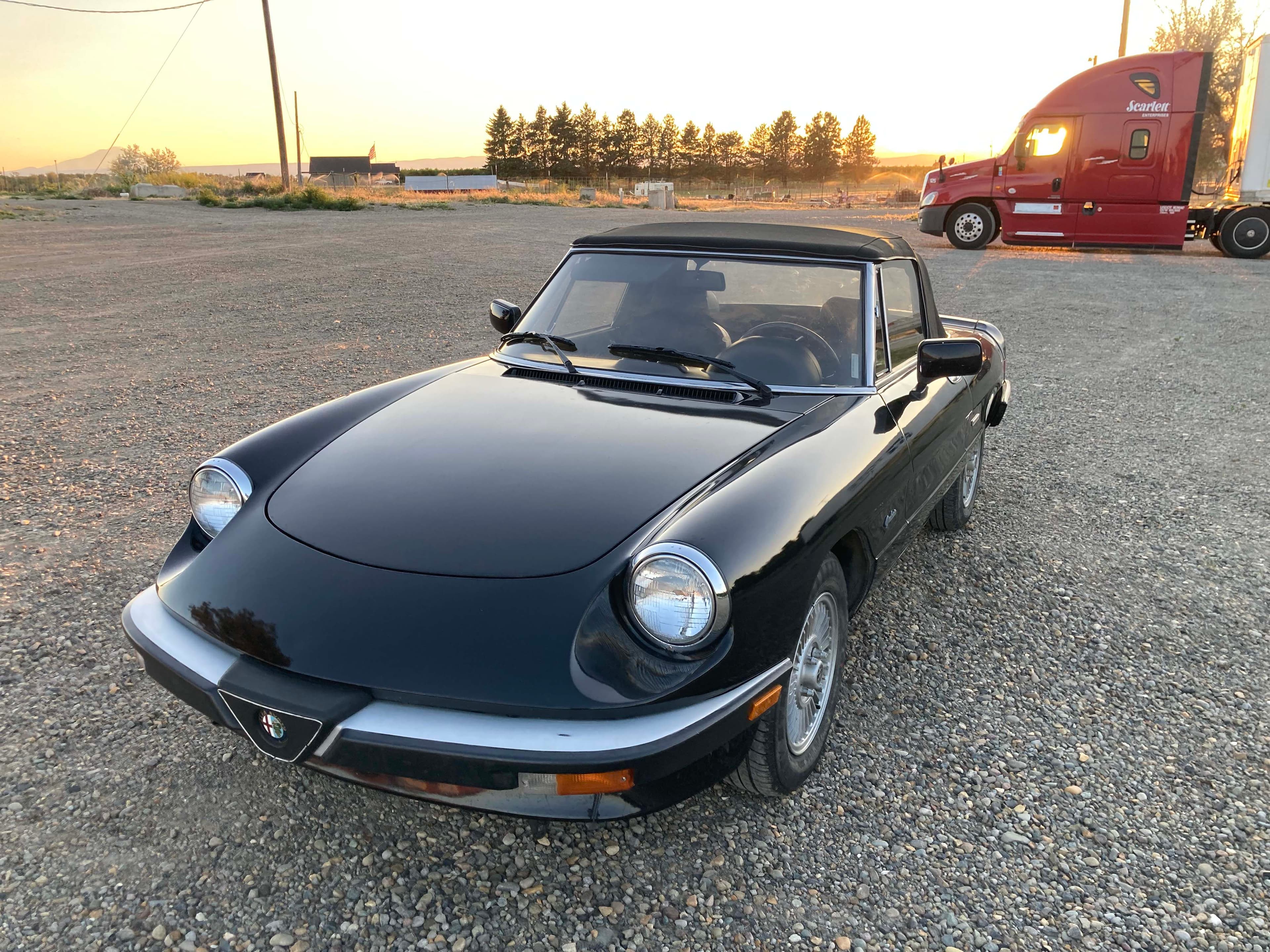 1988 Alfa Romeo Spider sold for $8,500