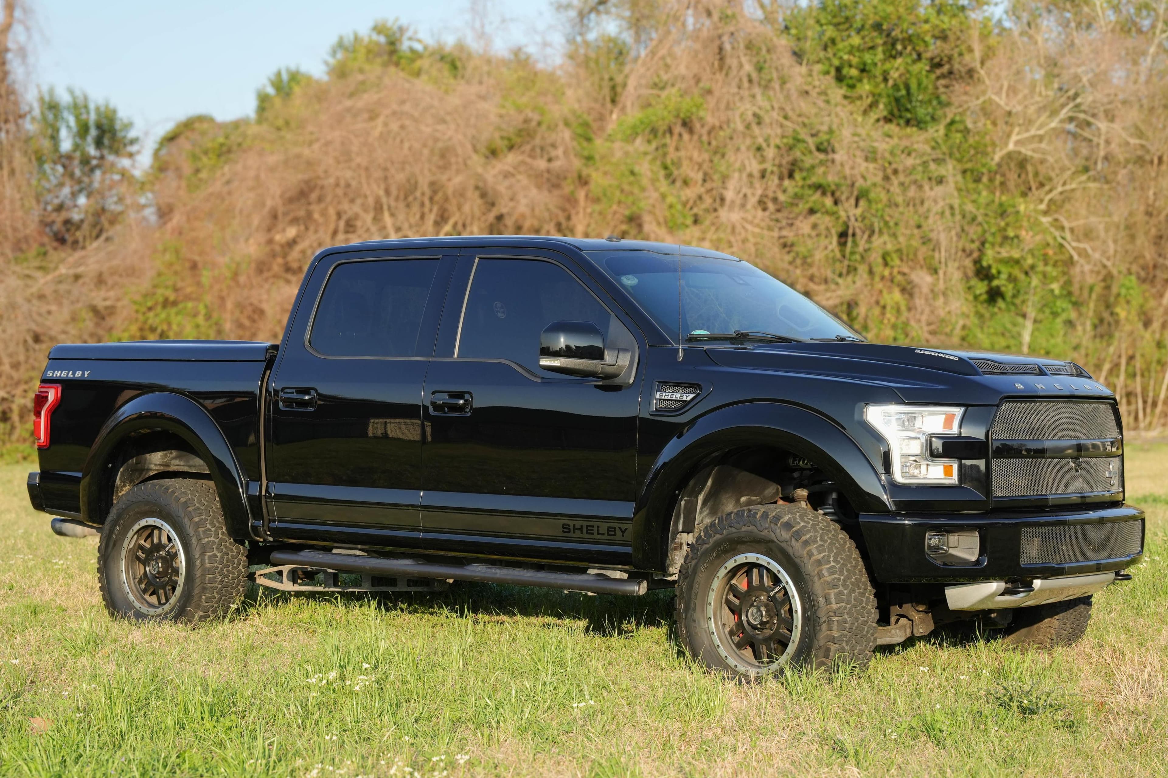 2017 Ford F-150 sold for $56,000