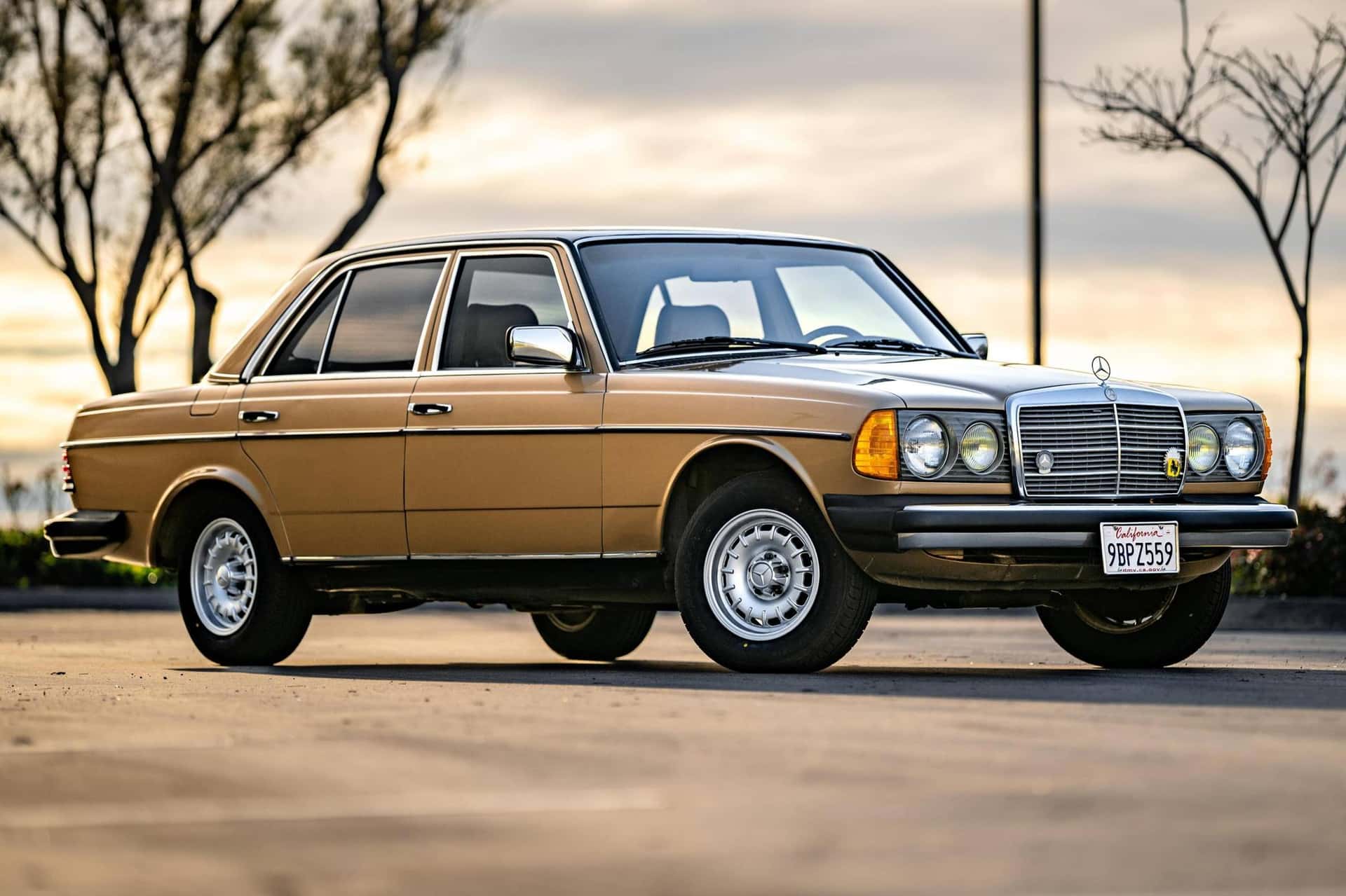 1985 Mercedes-Benz E-Class sold for $6,000