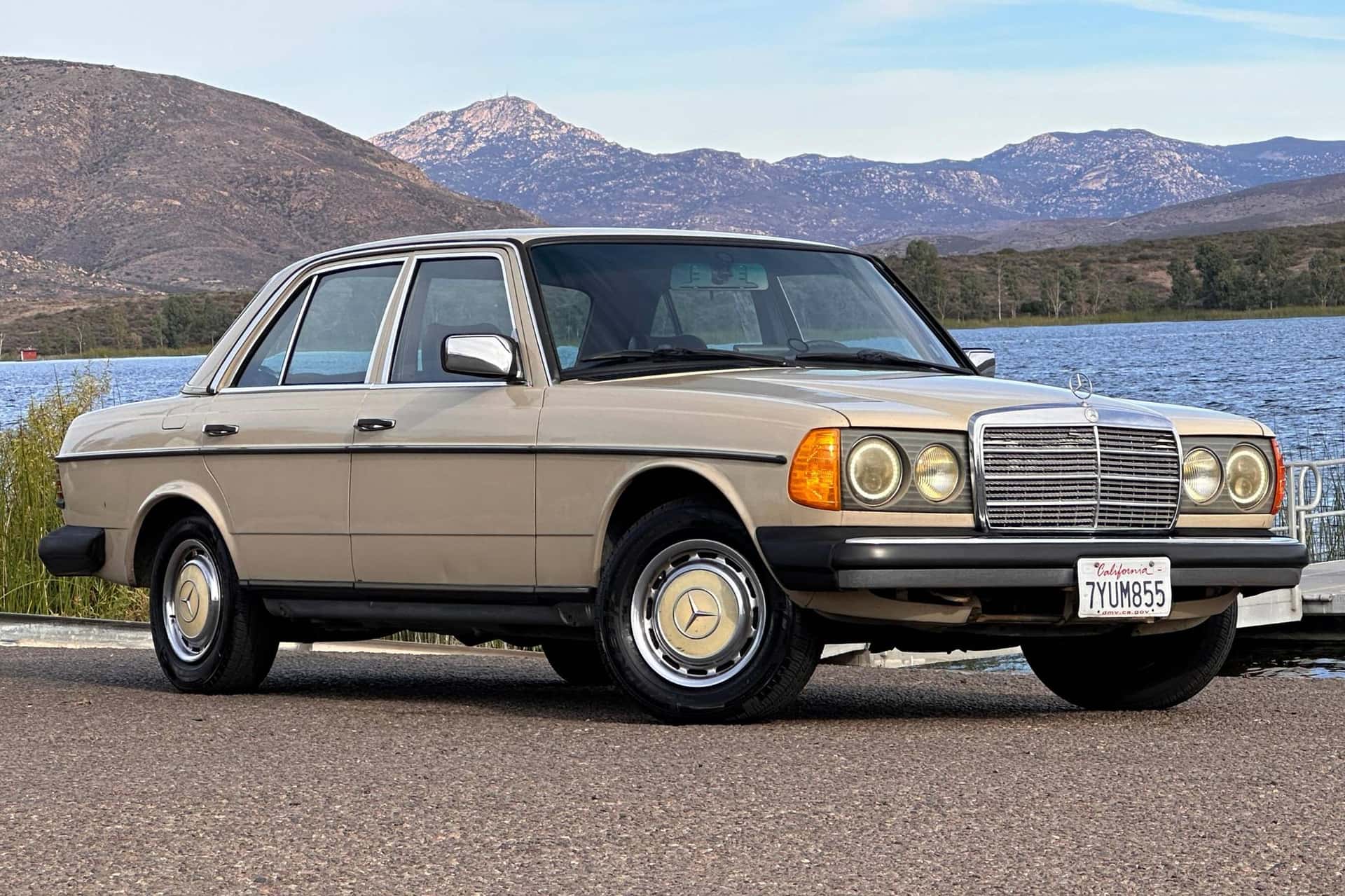 1983 Mercedes-Benz E-Class sold for $4,000