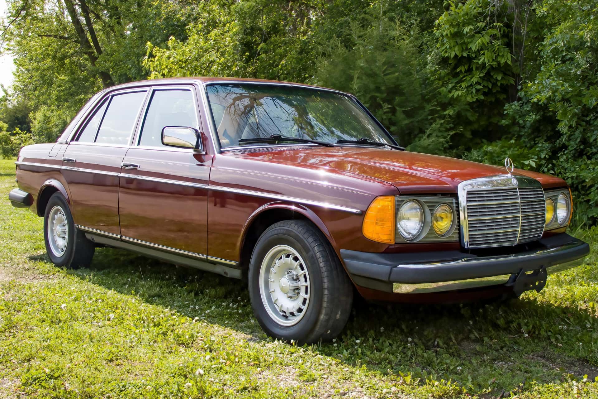 1983 Mercedes-Benz E-Class sold for $10,000