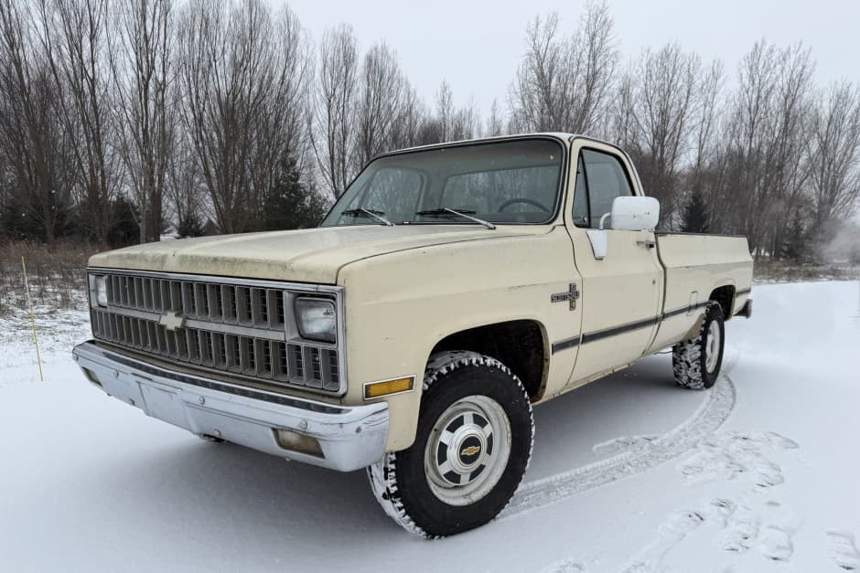 1981 Chevrolet C/K (1973-1991) sold for $9,500