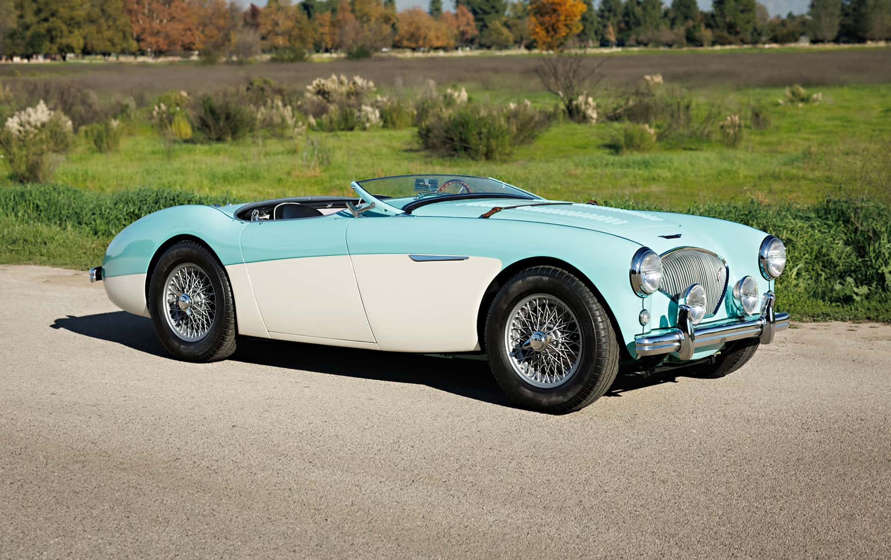 1956 Austin-Healey 100M sold for $103,600