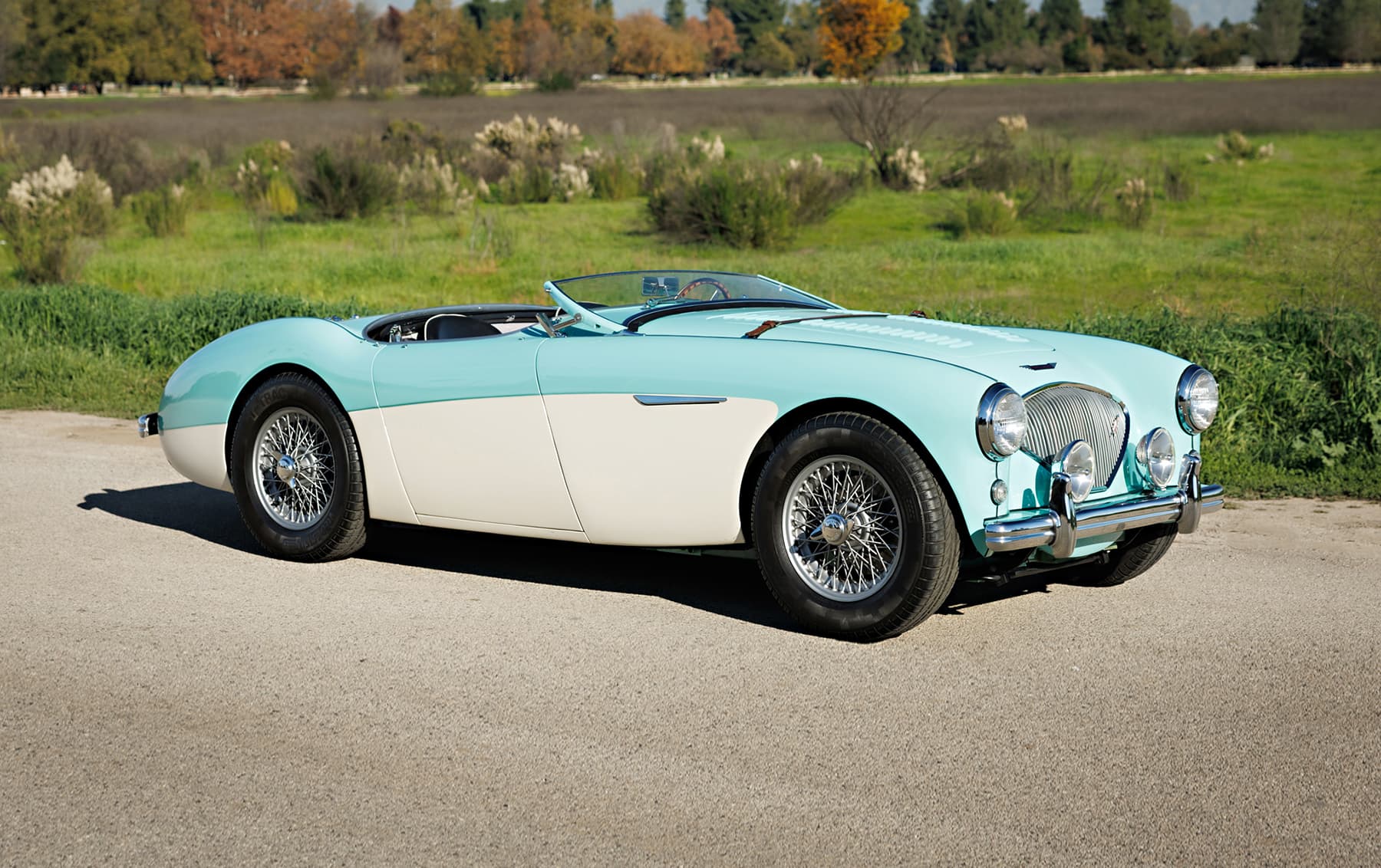 1956 Austin-Healey 100M sold for $103,600