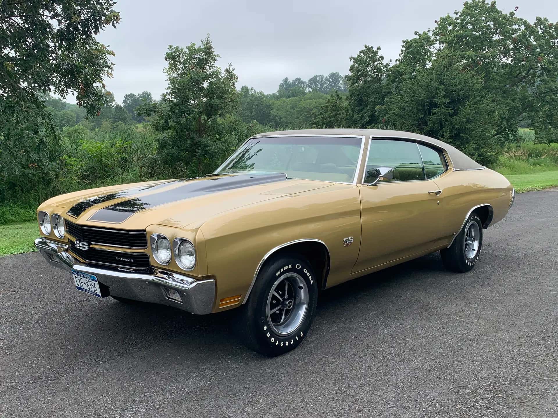 1970 Chevrolet Chevelle SS LS6 sold for $0