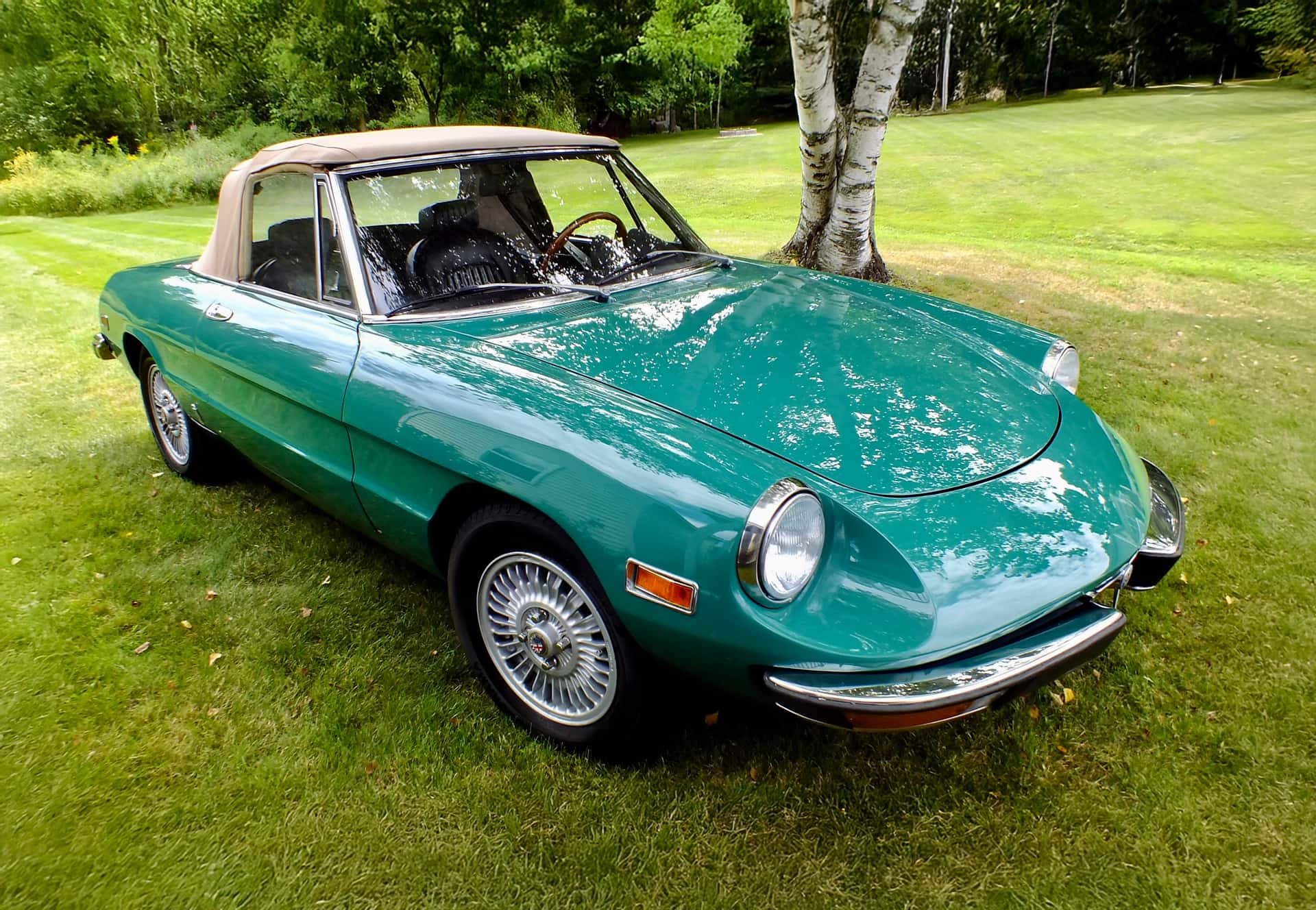 1973 Alfa Romeo Spider sold for $12,500